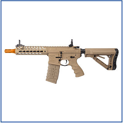 G&G CM16 SRS
